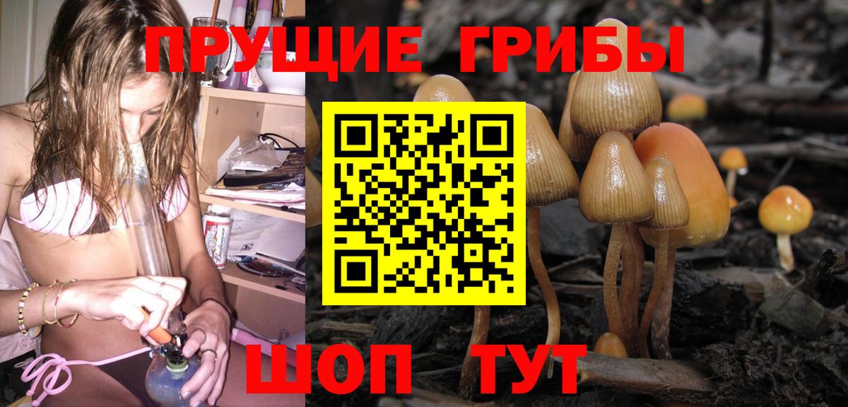 Псилоцибиновые грибы MAGIC MUSHROOMS  Вход с VPN  даркнет сайт  Красный Сулин 